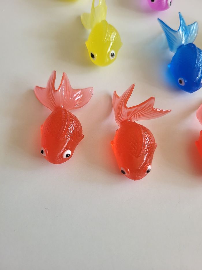 Poissons et épuisettes - photo numéro 2