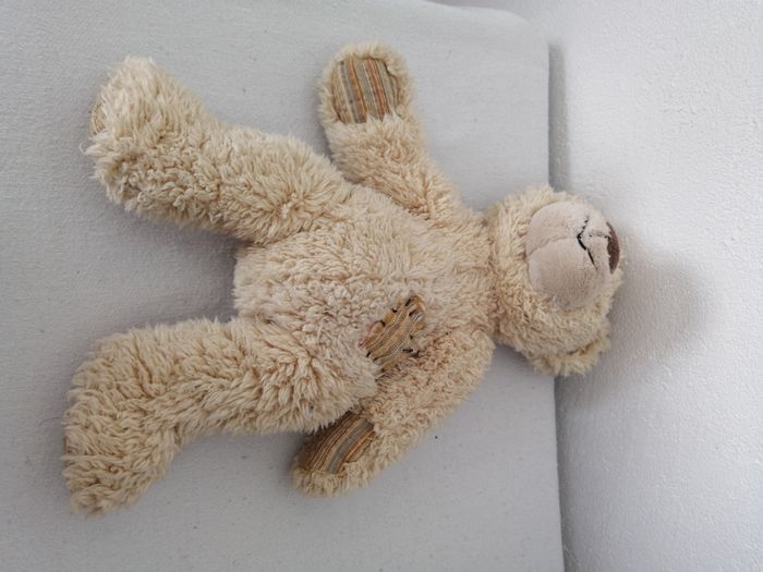 livre et peluche ours - photo numéro 7