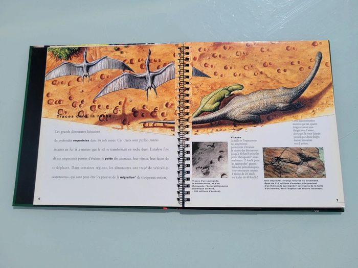 Livre animé de flaps Mi-oiseaux, mi-dragons, les dinosaures, Gallimard Jeunesse (47) - photo numéro 8