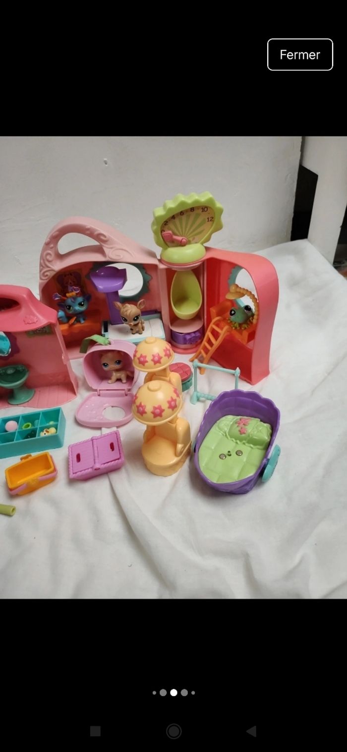 Pet shop - photo numéro 5