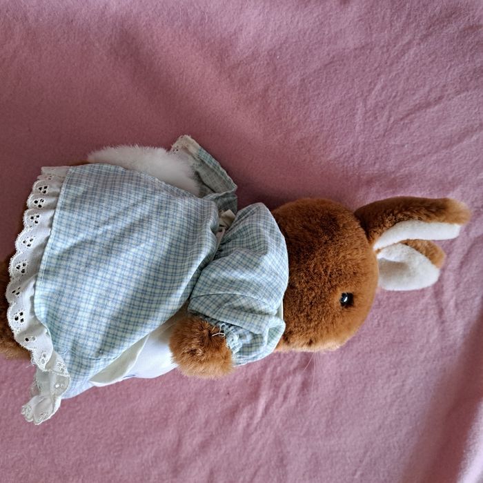 Mrs rabbit peter - photo numéro 4