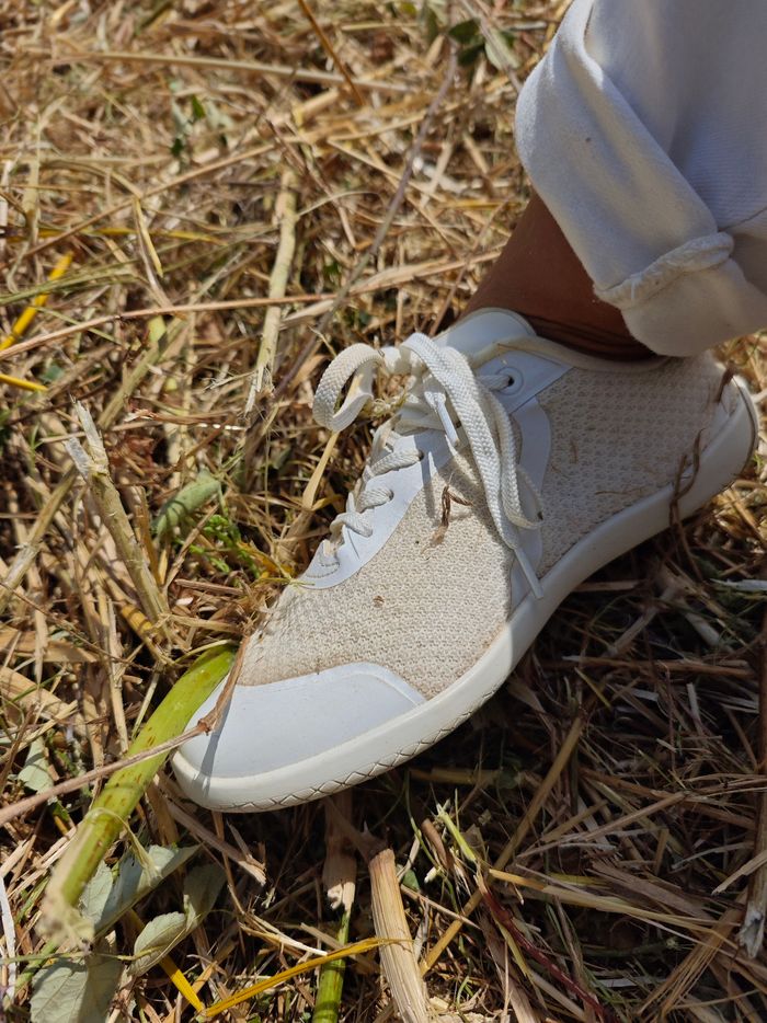 baskets sneakers merino cotidiene rando courir lifestyle - photo numéro 3