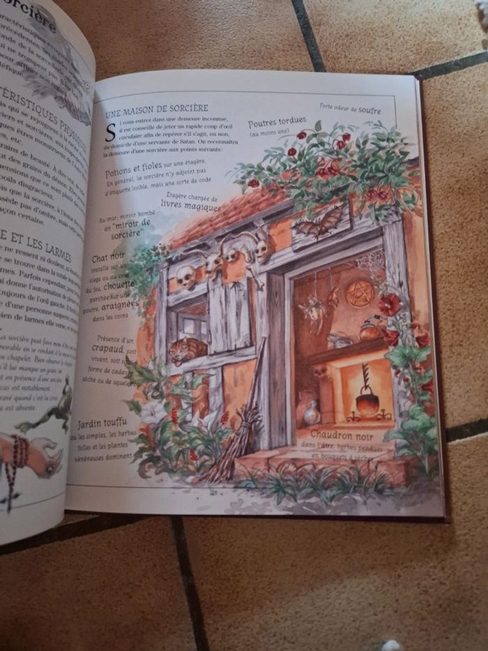 Sorcières et autres jeteuses de sorts - photo numéro 10