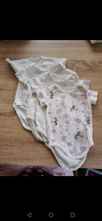 Lot 4 bodies