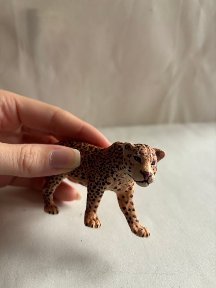 Léopard Schleich - photo numéro 2