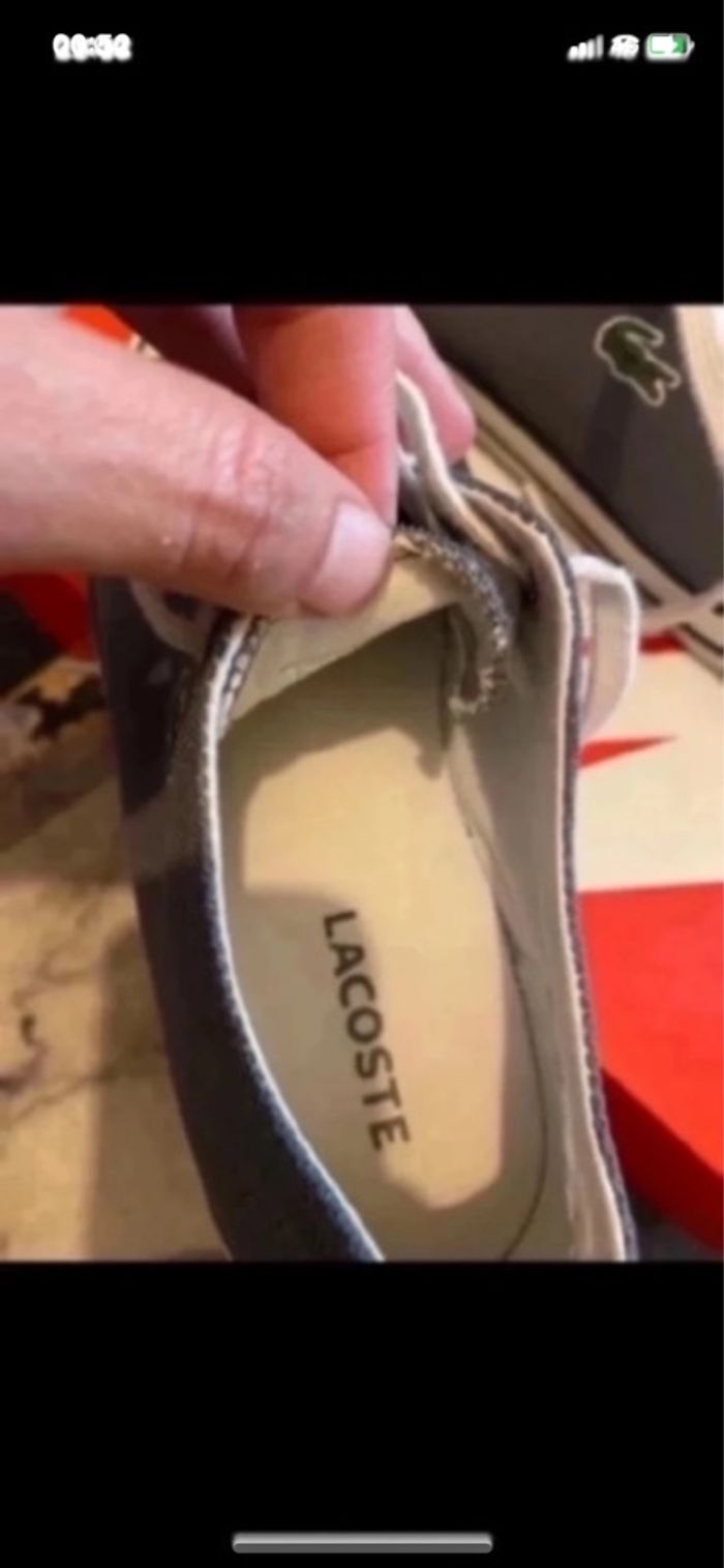 Basket  lacoste grise taille 39 - photo numéro 4