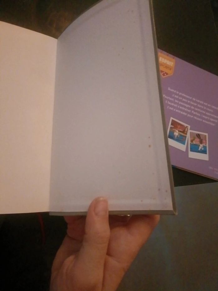 Livre Anne d avonlea - photo numéro 6