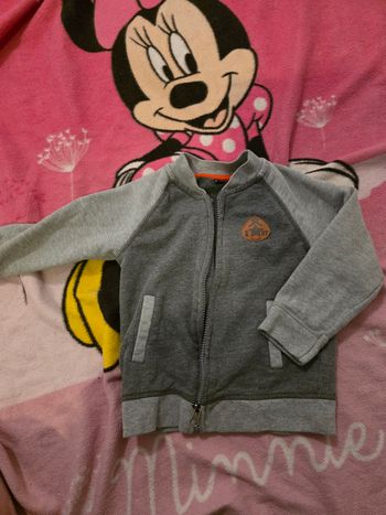 Veste