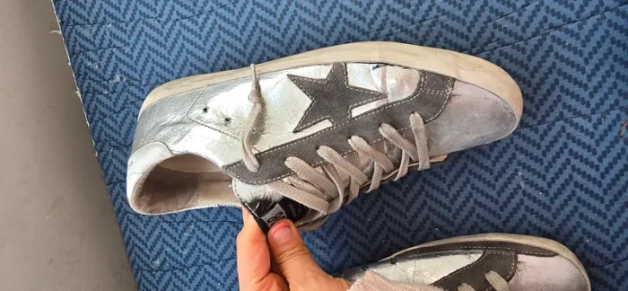 Golden goose - photo numéro 13