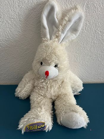Peluche bouillote