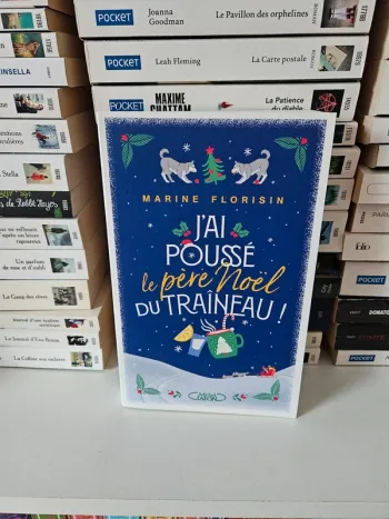 Livre gf j'ai poussé le père Noël du traîneau