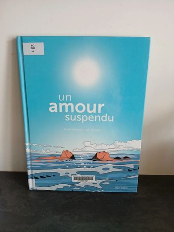 Un Amour Suspendu