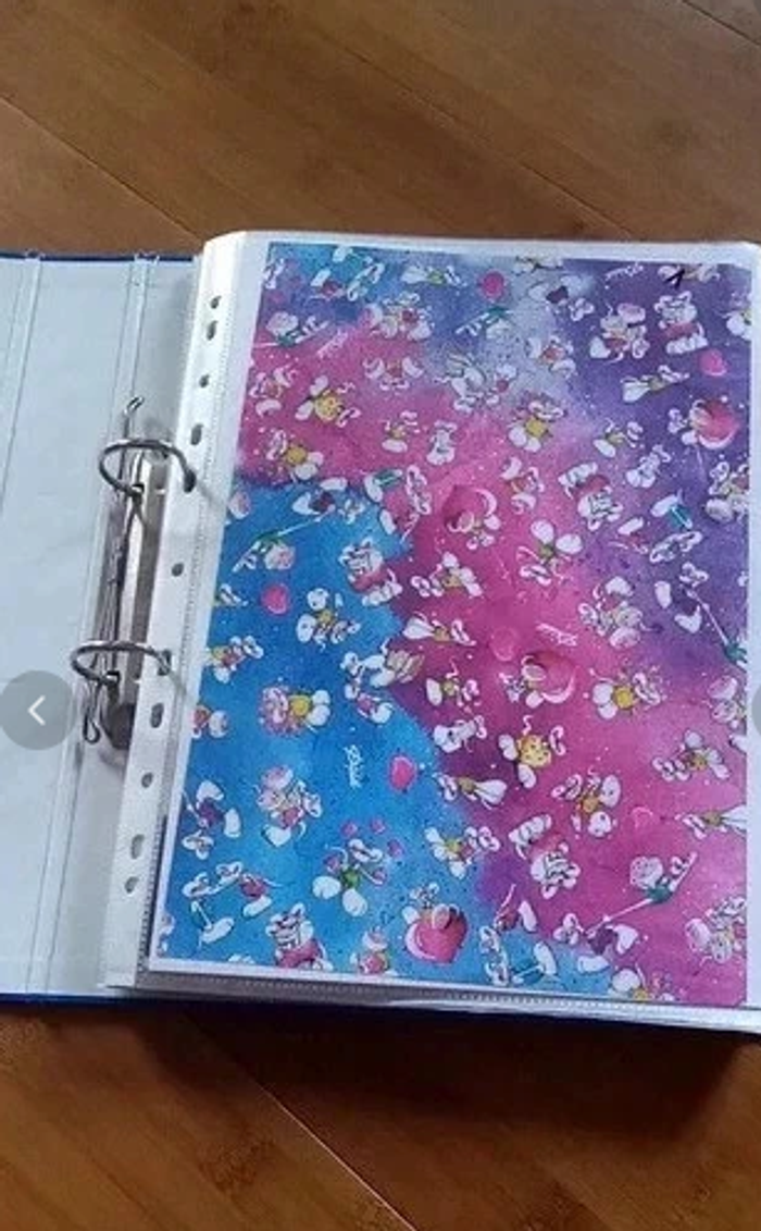 Classeur diddl avec feuilles diddl a4 1 à 62 inclus - photo numéro 4