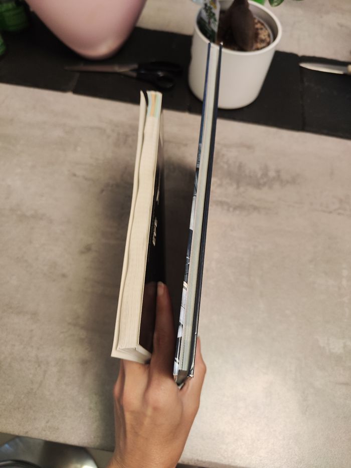 Lot de 2  livres Halo - photo numéro 4