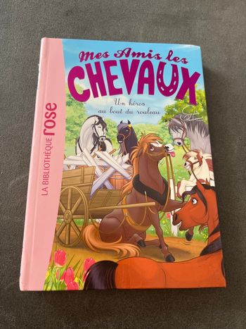 Livre bibliothèque rose mes amis les chevaux tome 41