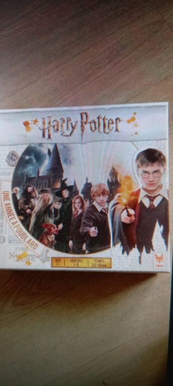 Harry potter - une année à Poudlard