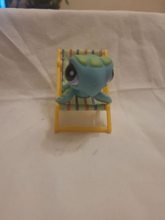 tortue de la mer petshop (rare) - photo numéro 4