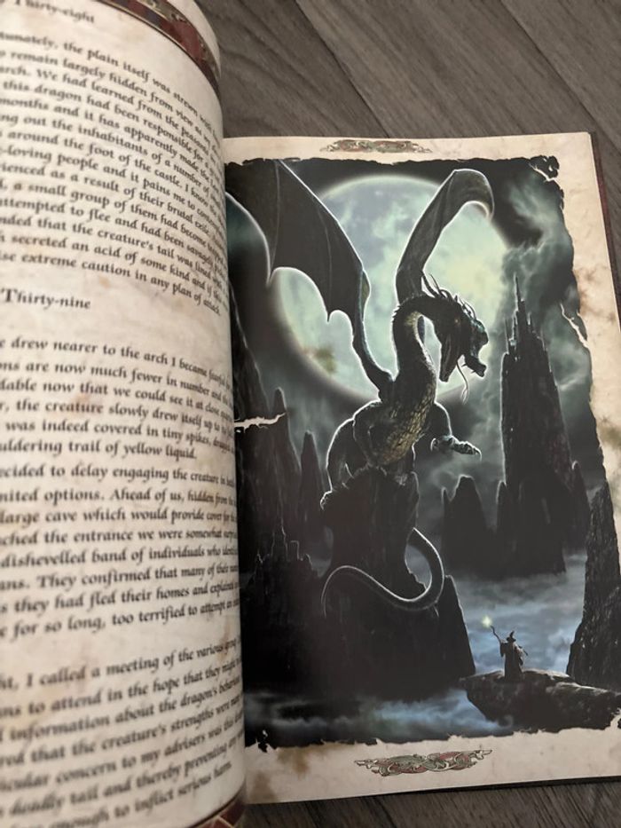 Introuvable sur Vinted ! veritable pépite en anglais. The dragon Chronicles - photo numéro 6