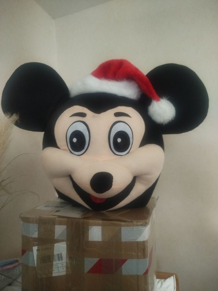 Mascotte Mickey et Minnie - photo numéro 4