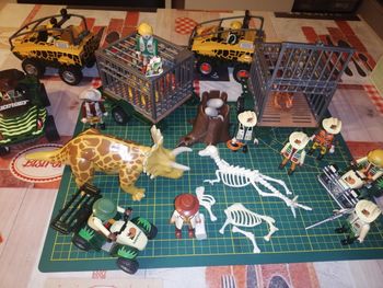 Gros lot playmobil dinosaures et personnages + voitures
