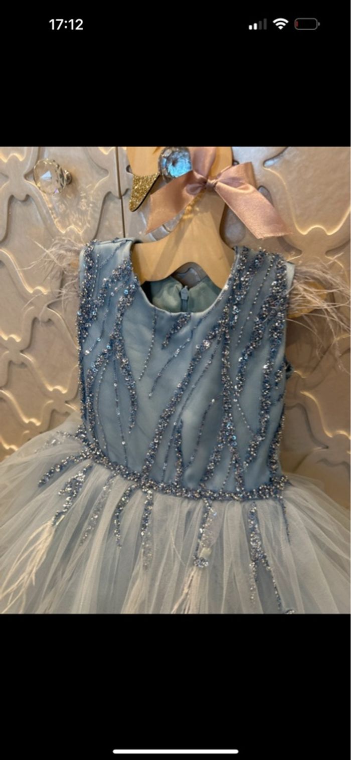 Robe - photo numéro 3