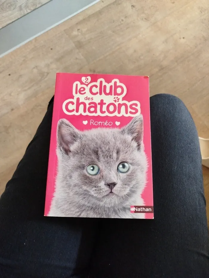 Livre le club des chatons