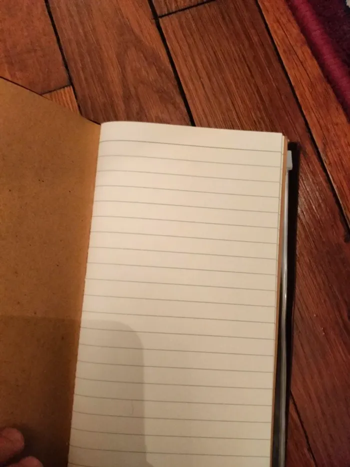 Cahier en cuir - photo numéro 6