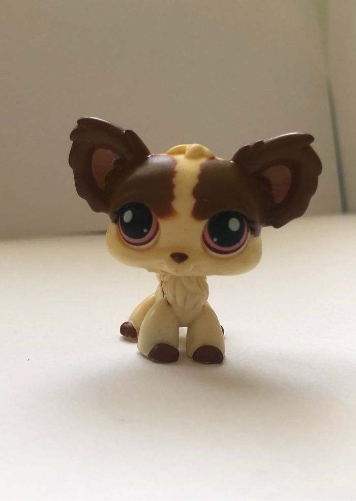 Littlest pet shop authentique chihuahua #385 - photo numéro 2