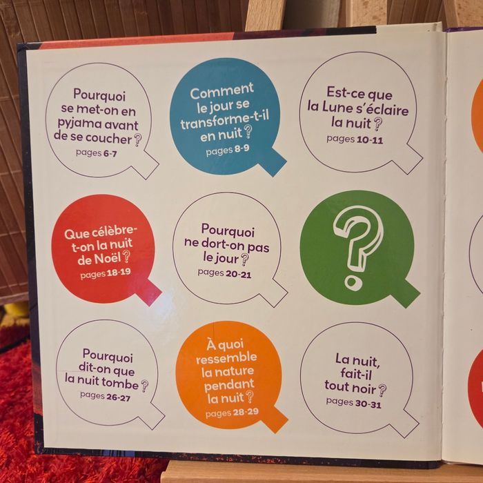 Livre enfant Milan mes P’tites Questions 6+ P’tits docs - photo numéro 3