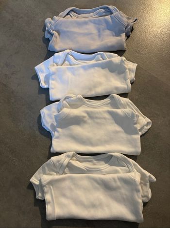 Lots de 4 bodies manches courtes