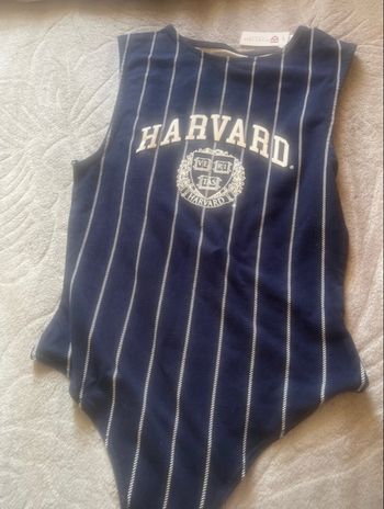 Bodies Harvard 