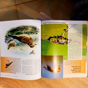 Encyclopédies de chasse