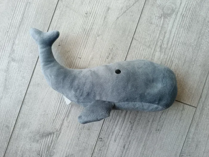 Cale porte baleine 🐳