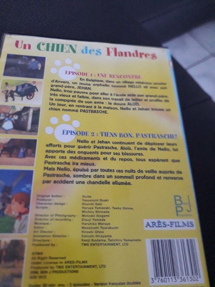 Un chien des Flandres