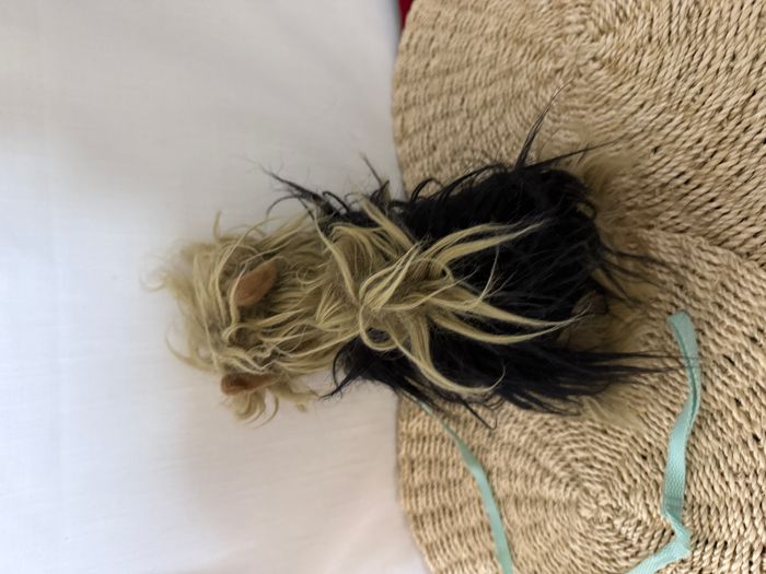 Peluche Chiot Yorkshire Terrier - photo numéro 3