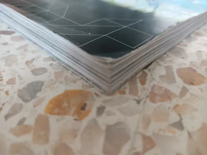 Manga terrarium tome 1 edition provisoire - photo numéro 3