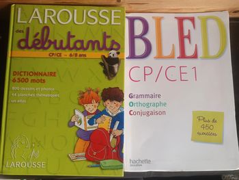 Livres dictionnaire Larousse et Bled