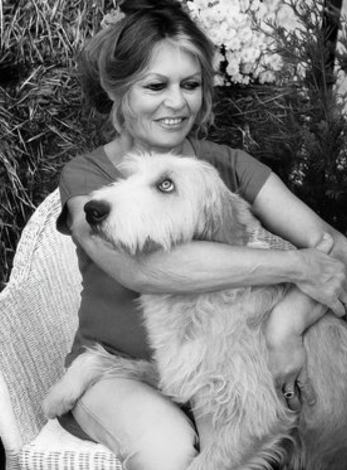 Cadre photo Brigitte bardot
