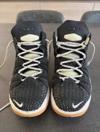 Nike Lebron