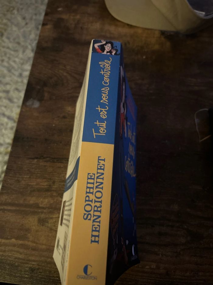 Tout est sous contrôle - photo numéro 3