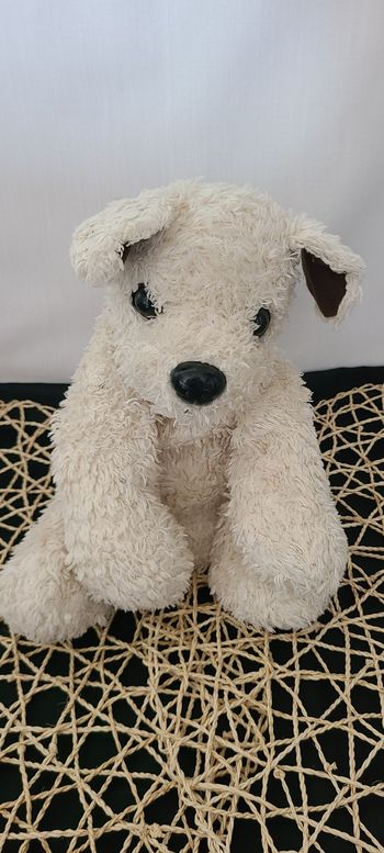Doudou peluche chien blanc marron