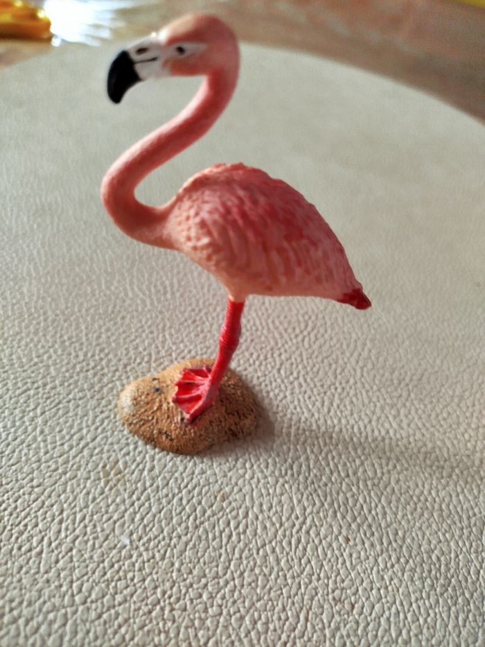 Flamant rose - photo numéro 2