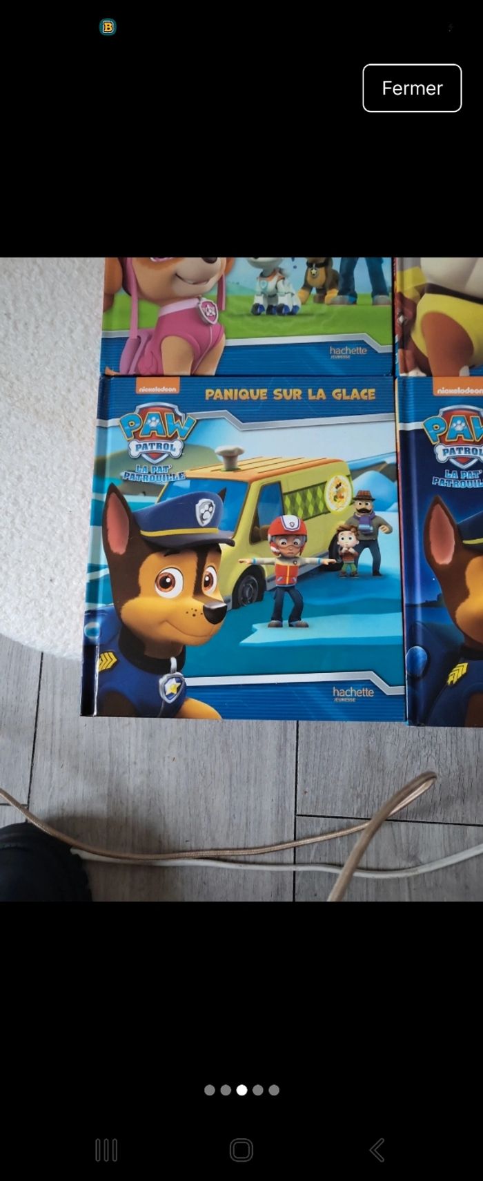 Livres pat patrouille - photo numéro 3