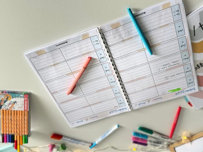 Cahier et agenda du maître maîtresse - photo numéro 14