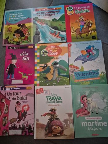 Lot de 9 livres premières lectures