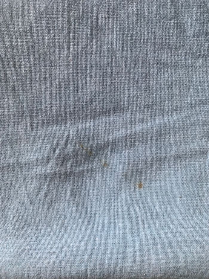 Parure de lit Pet’s Shop - photo numéro 6