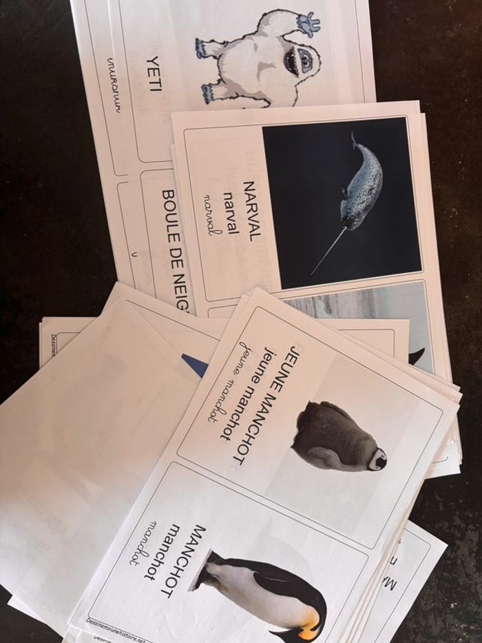 Lot cartes de nomenclature hiver/polaire
