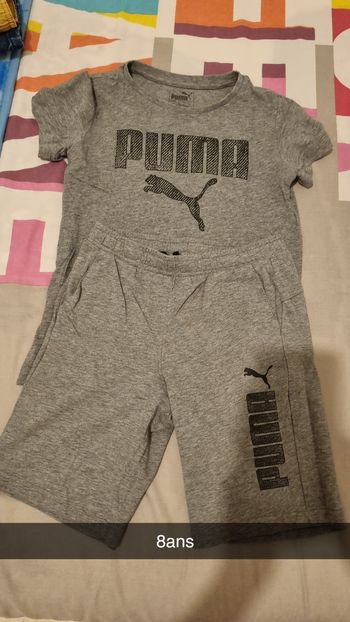 Ensemble puma