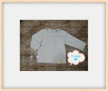 Joli t-shirt garçon manches longues 12 mois