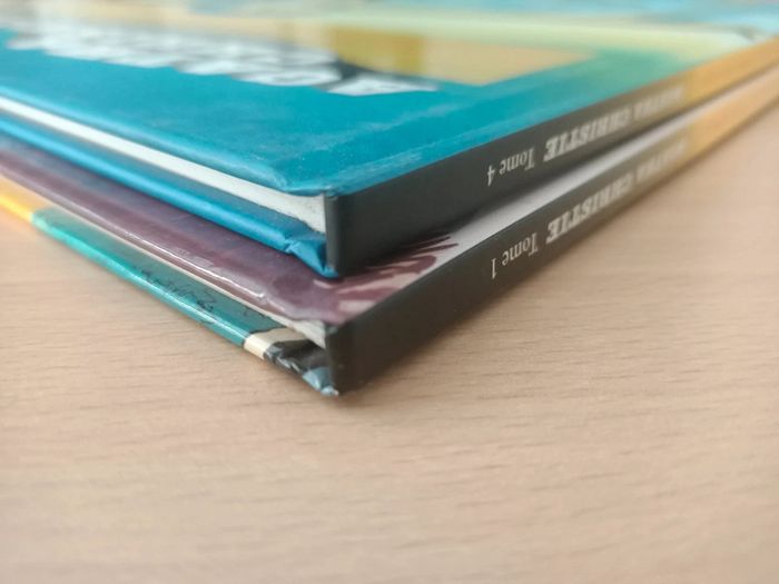 Lot de 2 BD - photo numéro 9